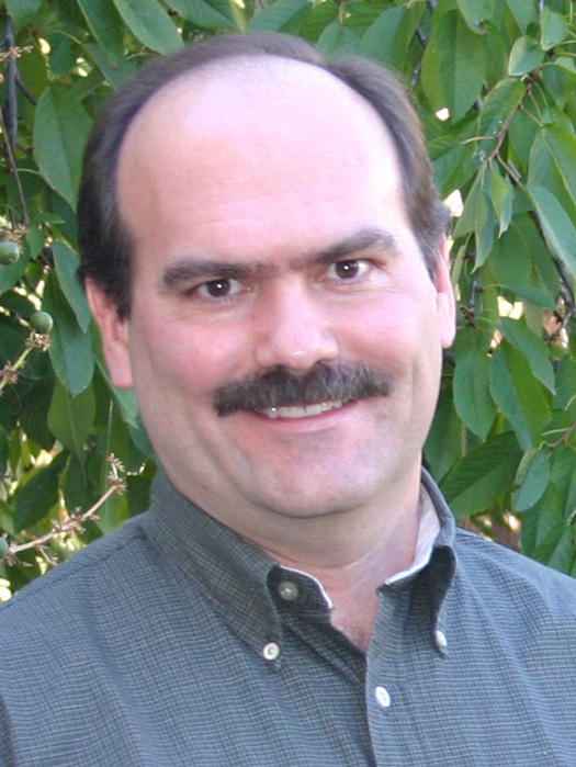 Jeffrey Lewis, Associate Professor of Organizational Studies