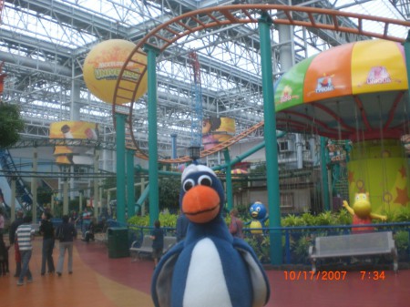 Cecil inside the mall of america