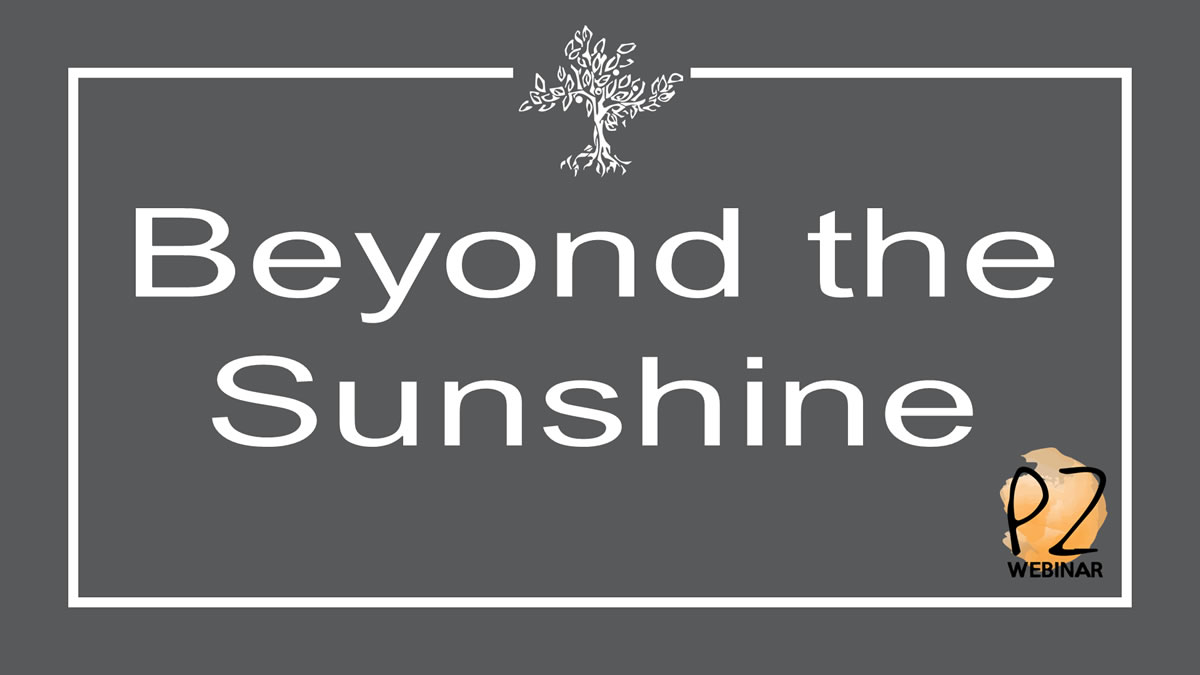 Beyond the Sunshine