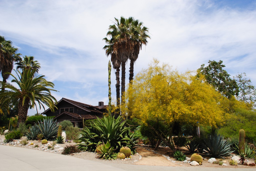 The John R. Rodman Arboretum started in the gardens around the Grove House, a campus landmark.