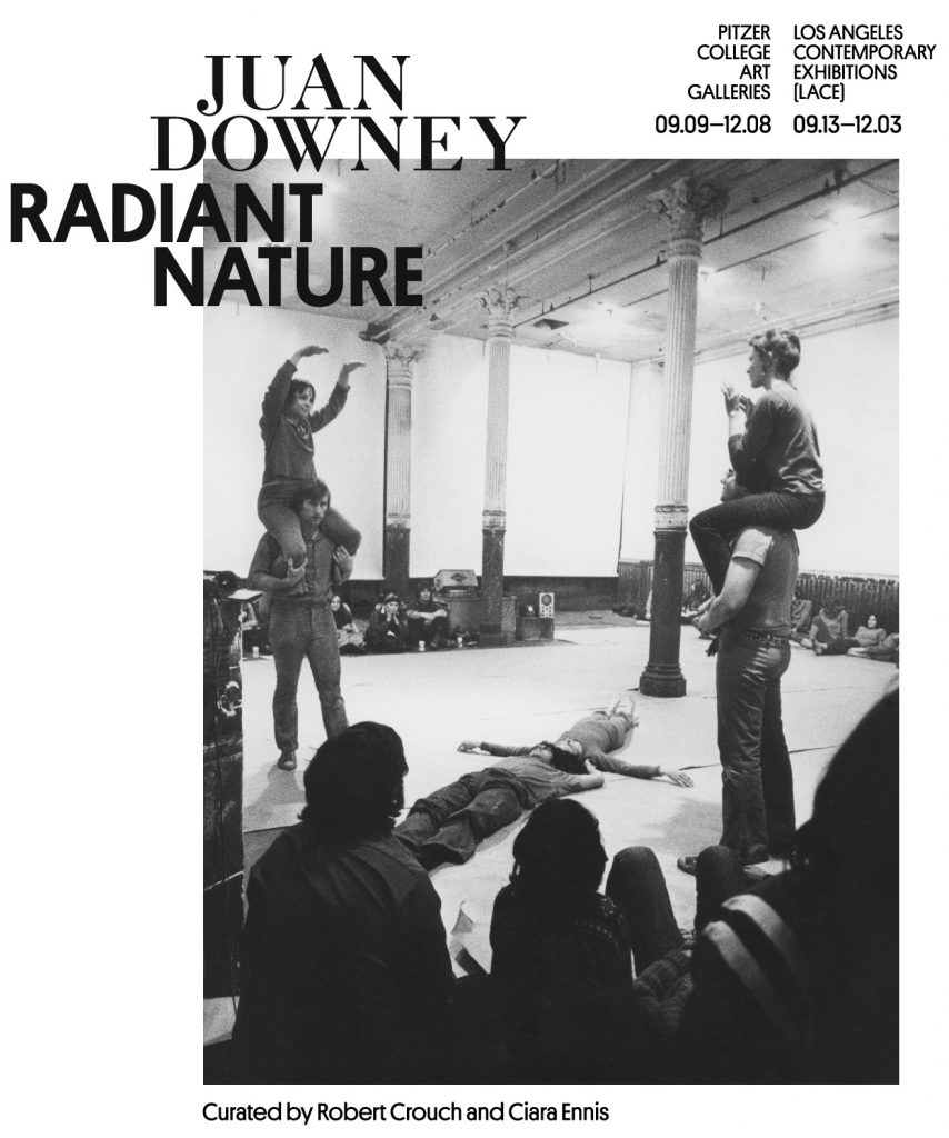 Juan Downey Radiant Nature Exhibition