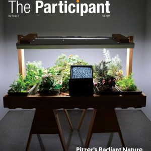 2017 Fall Participant Cover