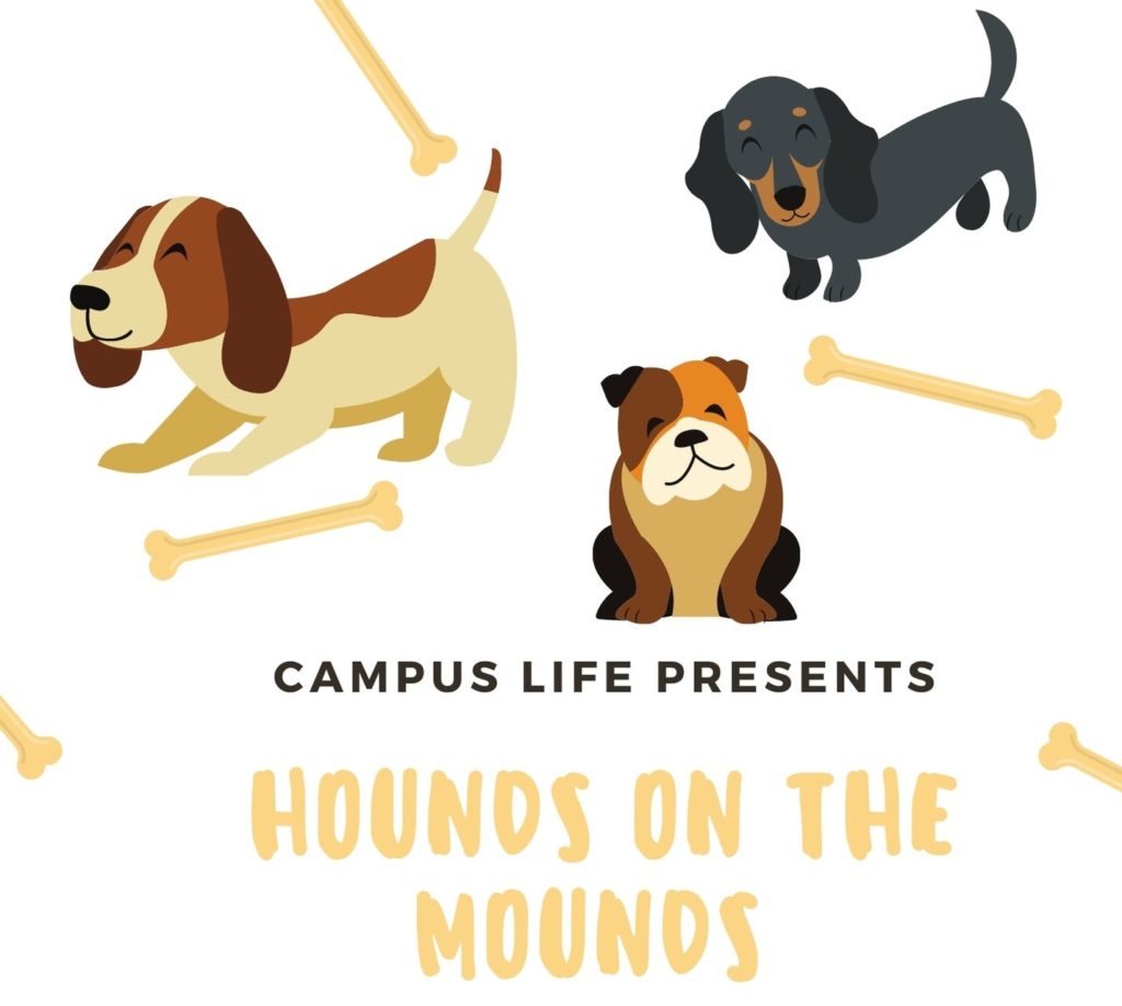 Hounds on the Mounds