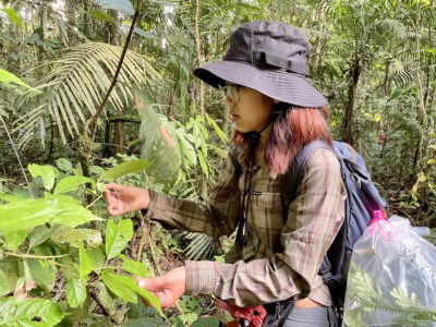 Chanchanok Sudta touches the leaf of a plant as she stands in a large green forest. She wears a black hat and glasses and a long-sleeved brown plaid shirt and dark blue backpack with a plastic bag attached.