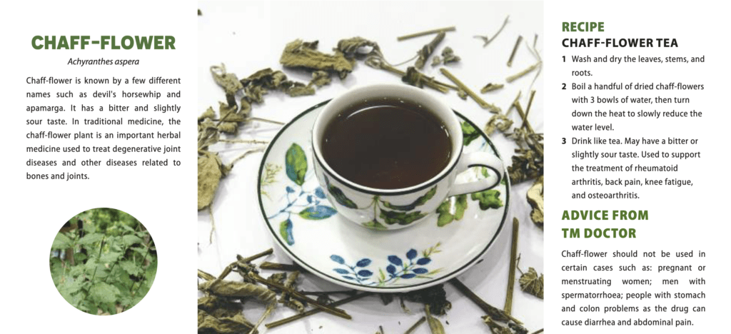 On the right is tea in a ceramic cup on a ceramic plate with a green and blue plant design. Dried tea leaves are scattered around the teacup. On the left is the recipe for the tea made of chaff-flower, achyranthes aspera. Chaff-flower is known by a few different names such as devil’s horsewhip and apamarga. It has a bitter and slightly sour taste. In traditional medicine, the chaff-flower plant is an important herbal medicine used to treat degenerative joint diseases and other diseases related to bones and joints.