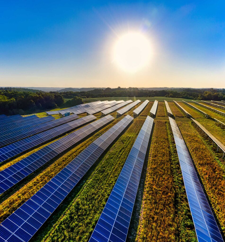 A bright afternoon shines over a green field with long strips of blue solar panels.