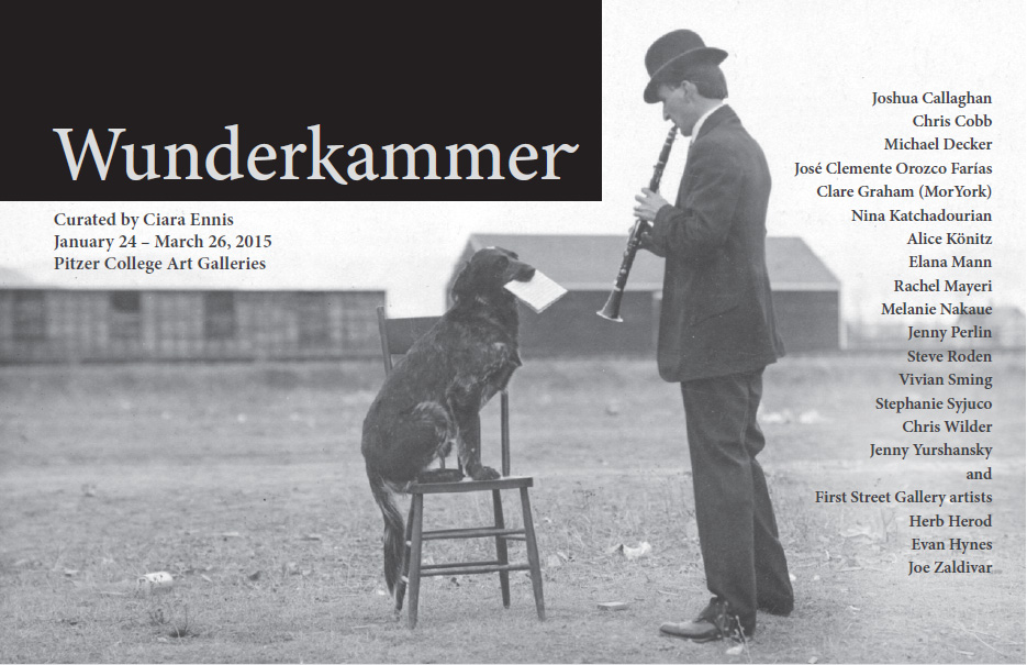 Wunderkammer Catalog Cover