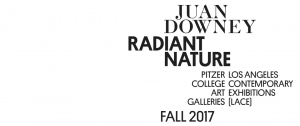 Juan Downey: Radiant Nature information
