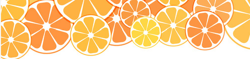 Orange Slices Banner