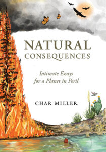 Natural consequences book cover