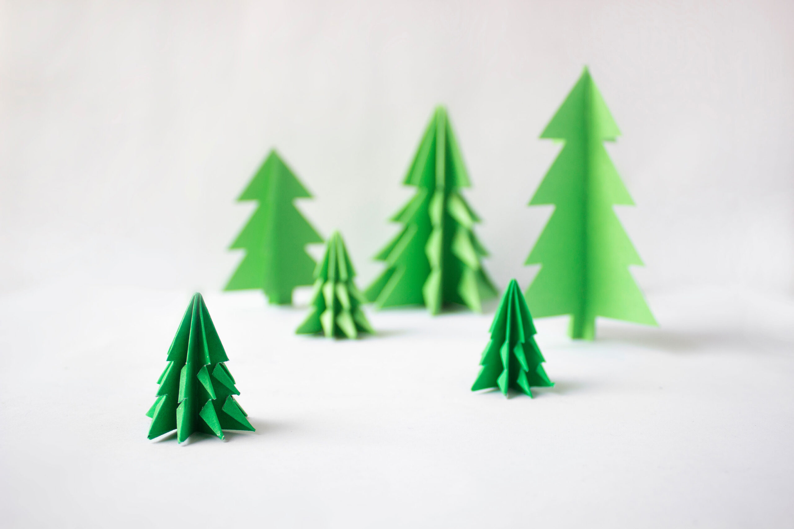 6 green paper pine trees on a light gray background