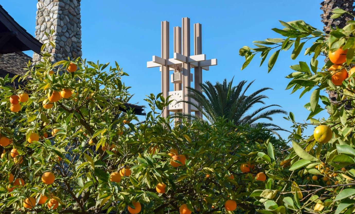 Clock Tower looms in the background in front of orange trees