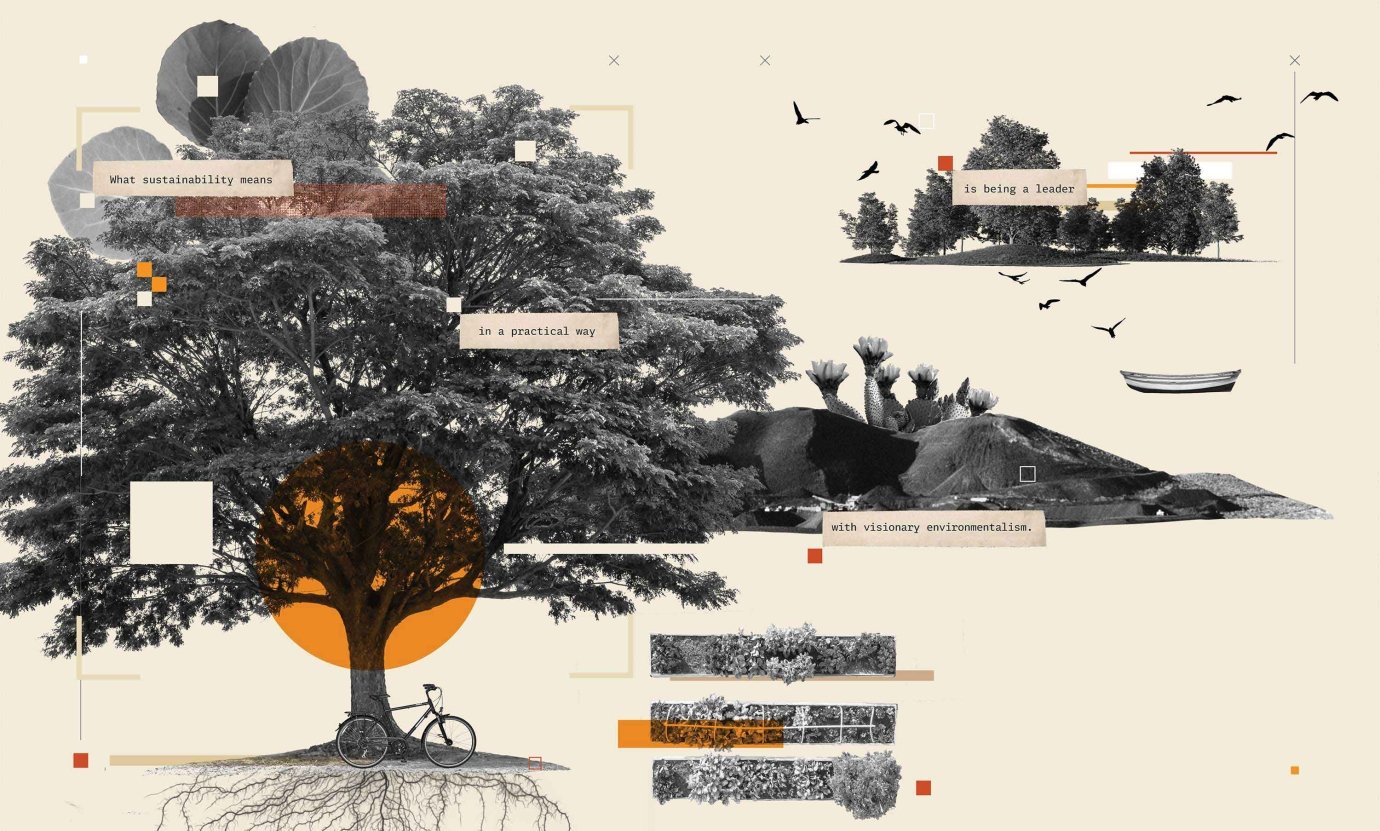 a collage showing trees, cacti and other elements of the pitzer landscape