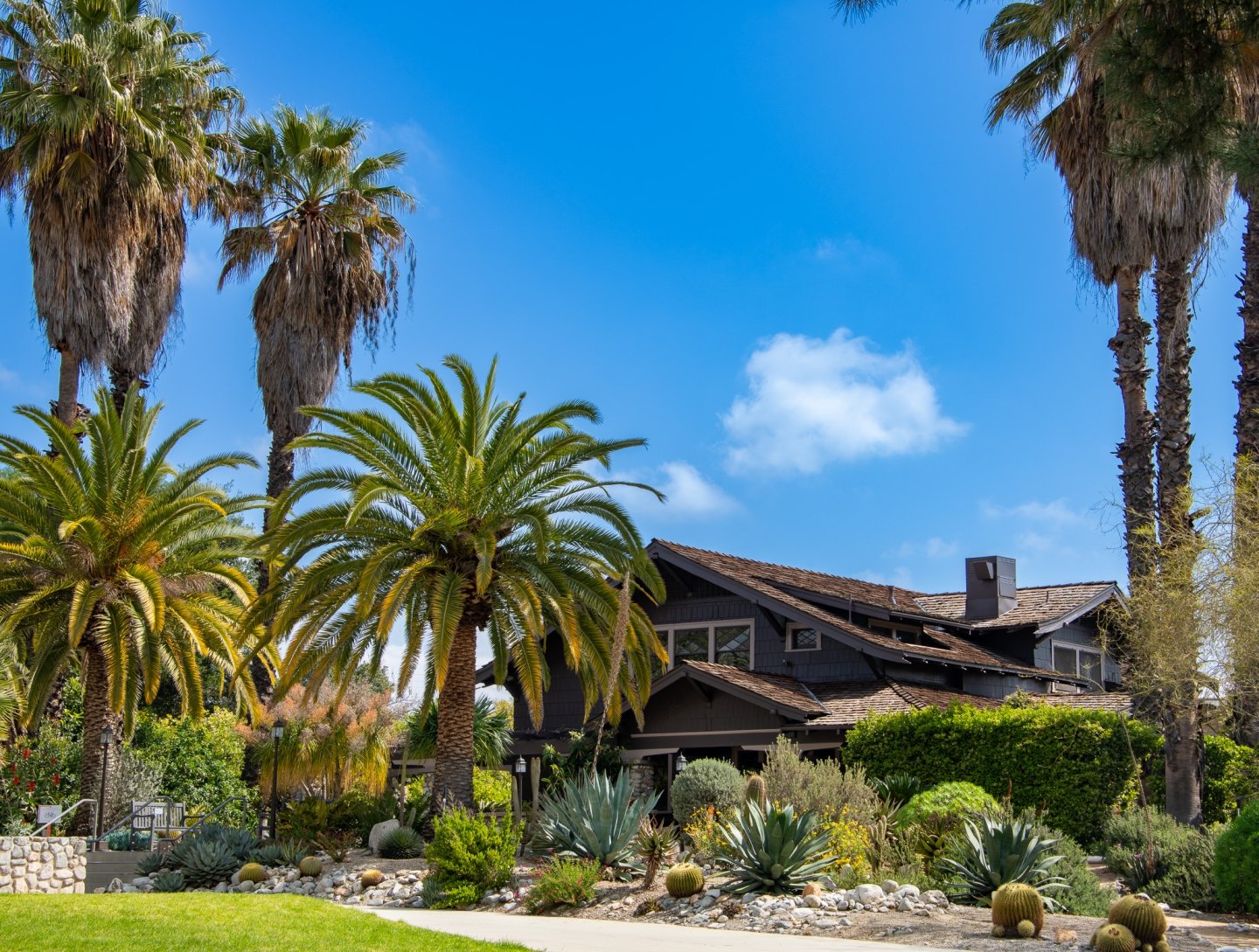 The Grove House seated between palm tress and clear blue skies