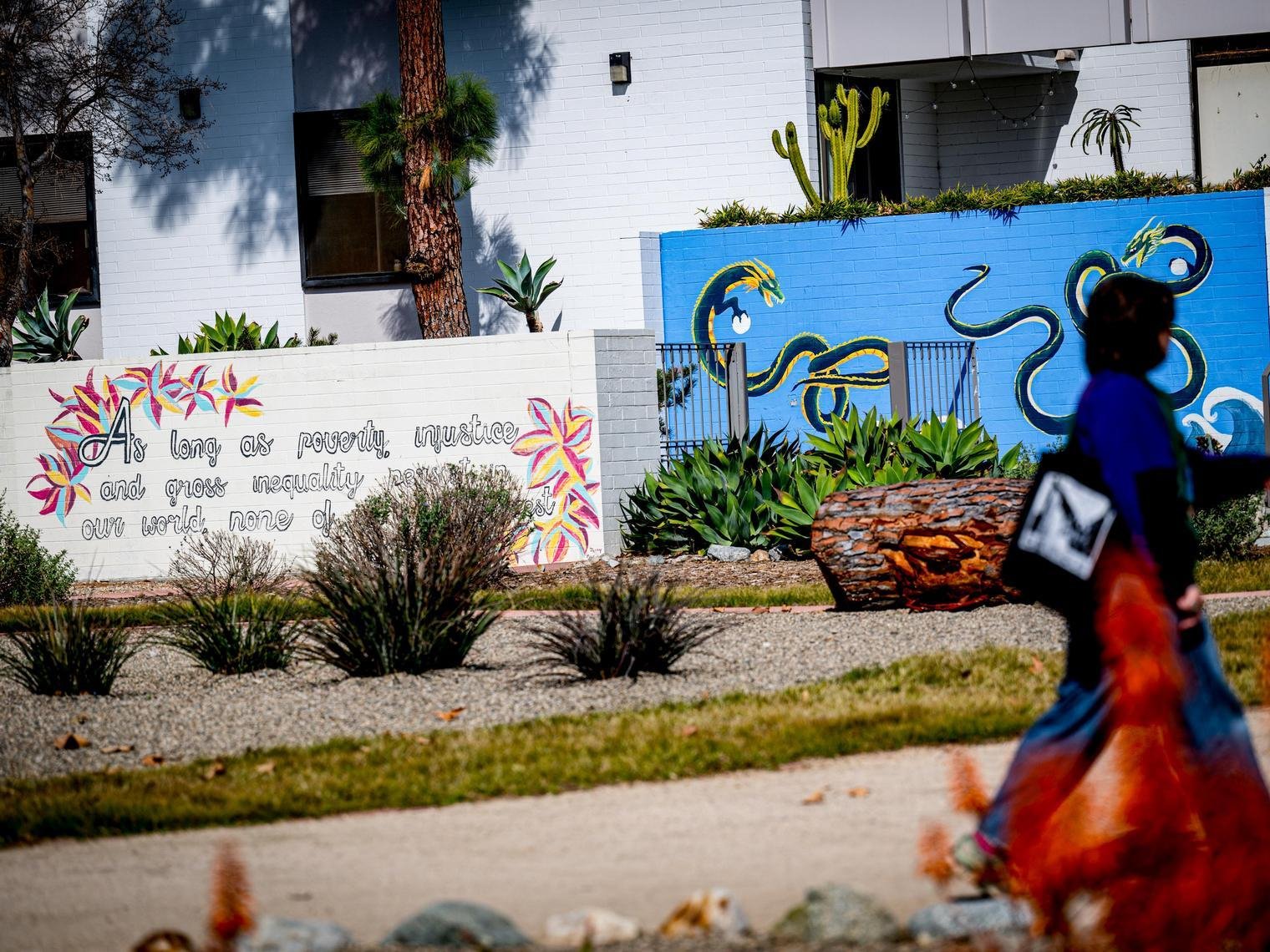 A student walks past two colorful murals
