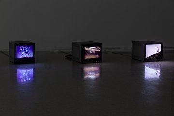 Installation view of Minerva Curves: Disidencia at Pitzer Art Galleries, September 30, 2020 - April 2, 2021. Photo courtesy of Ian Byers-Gamber.