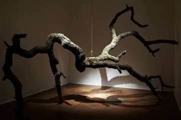 Installation view of Matthew R. Ohm: Vanitas at Pitzer College Art Galleries, January 21 – March 23, 2012. 