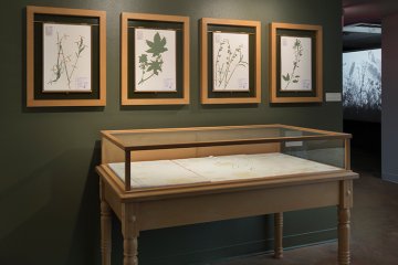 Installation view of Jenny Yurshansky- Blacklisted: A Planted Allegory at Pitzer College Art Galleries, January 24 – March 26, 2015. 
