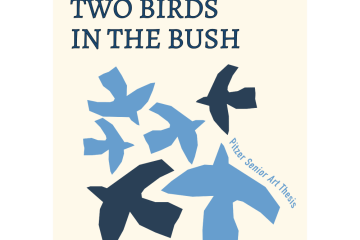 Graphic featuring drawn birds