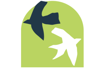 drawing of two birds flying in opposite directions