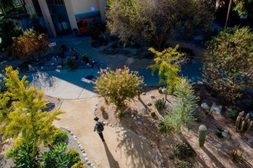 a student walks on a path in scott courtyard