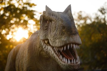headshot of a dinosaur