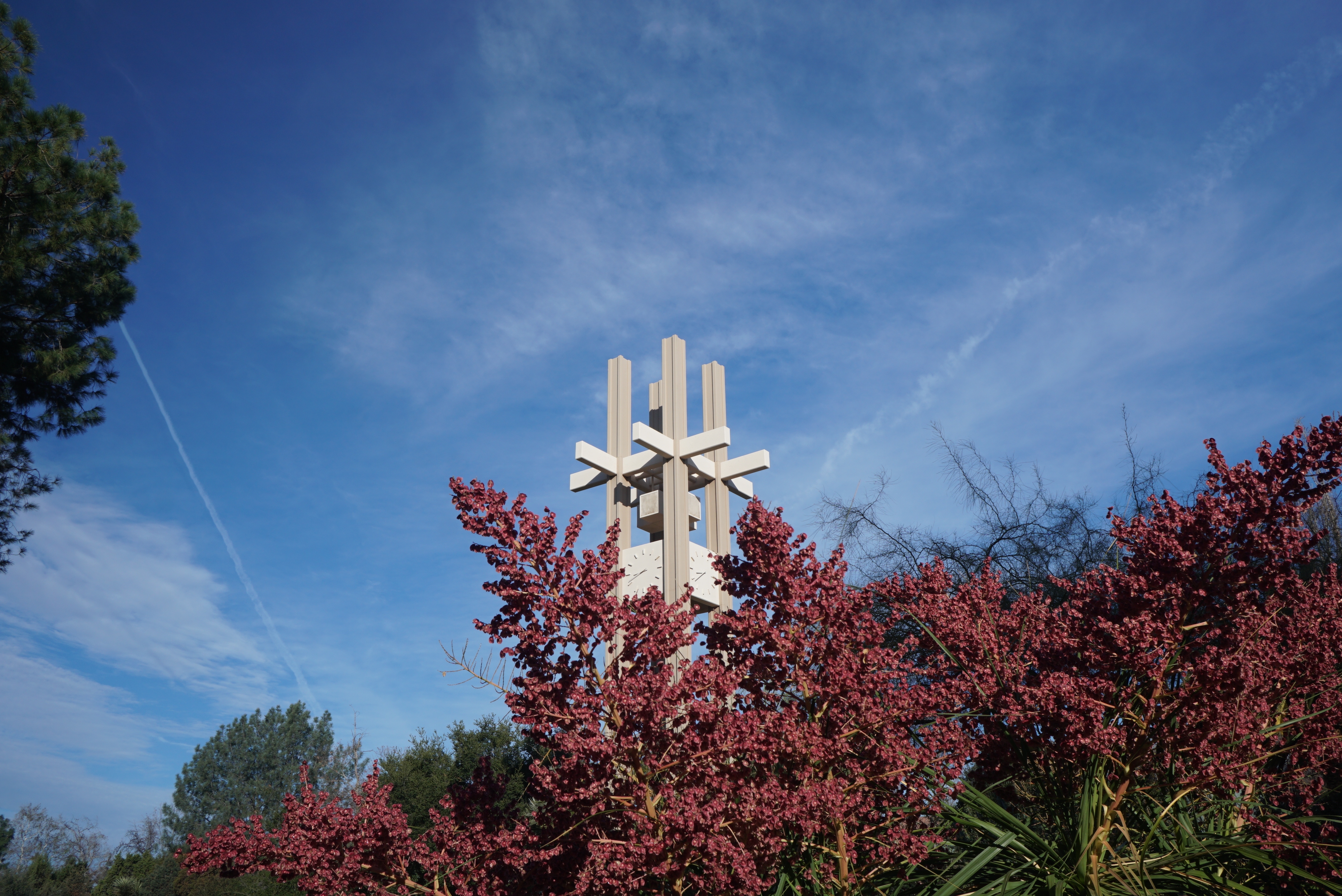 trees in bloom in the foreground of Pitzer College's Bryant Tower against the blue sky featuring wisps of white clouds
