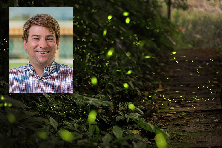 headshot of Aaron Leconte superimposed over an images of fireflies on a dark background
