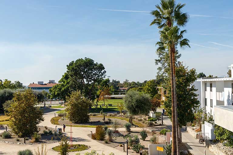 view of holden garden from the gold student center