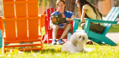 Pitzer students studying on their laptops on the Mounds