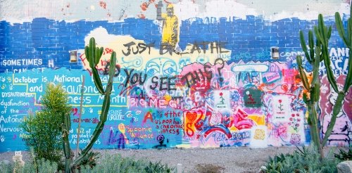 view of the pitzer free wall with cactus in the foreground