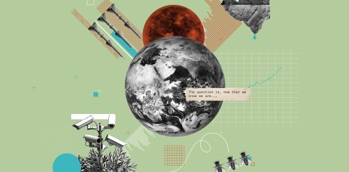 collage of a black and white earth with bees, geometric shapes and missles on a sage green background