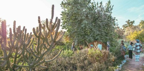 students take a tour of the outback vegetation