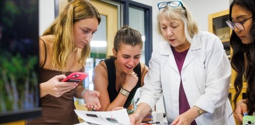 Students look on as a professor performs an experiment