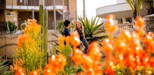 two students walk with colorful flowers in the foreground