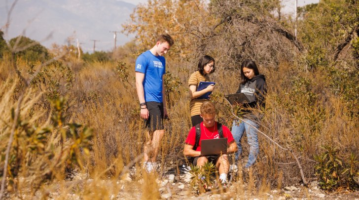 Pitzer students work outdoors at Bernard Field Station