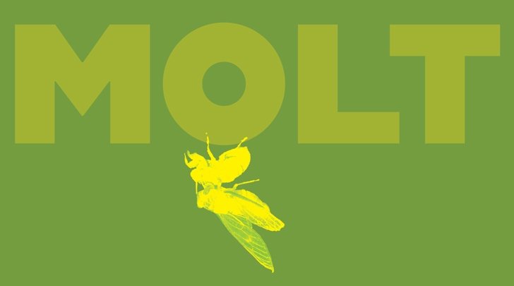 MOLT | Senior Art Thesis Exhibition 