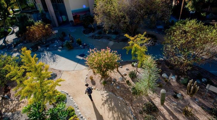 a student walks on a path in scott courtyard