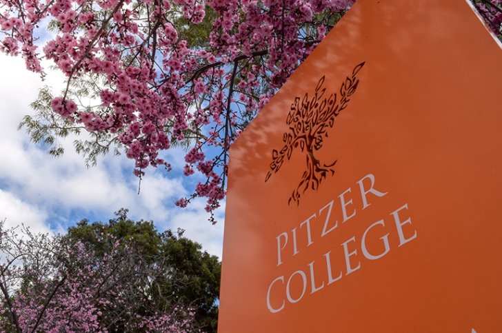 An outdoor Pitzer College orange sign surrounded by cherry blossoms