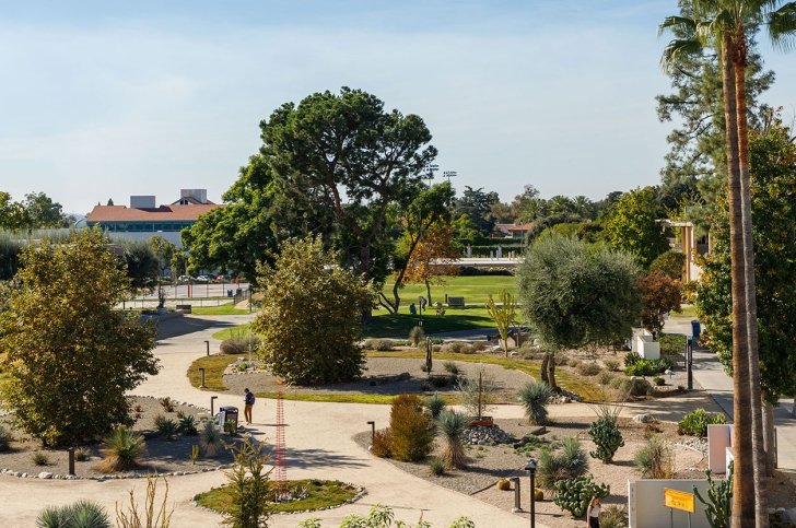 a student walks through holden garden