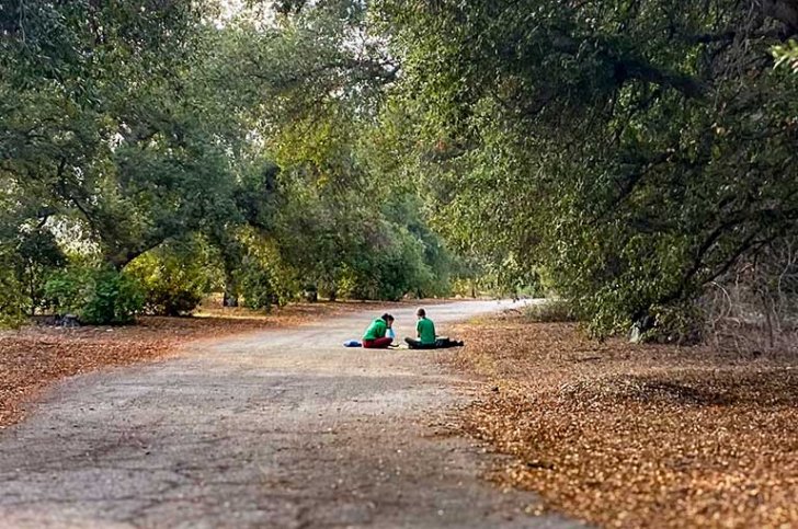 two student sit on the ground surrounded by oat trees at the Bernard Field Station