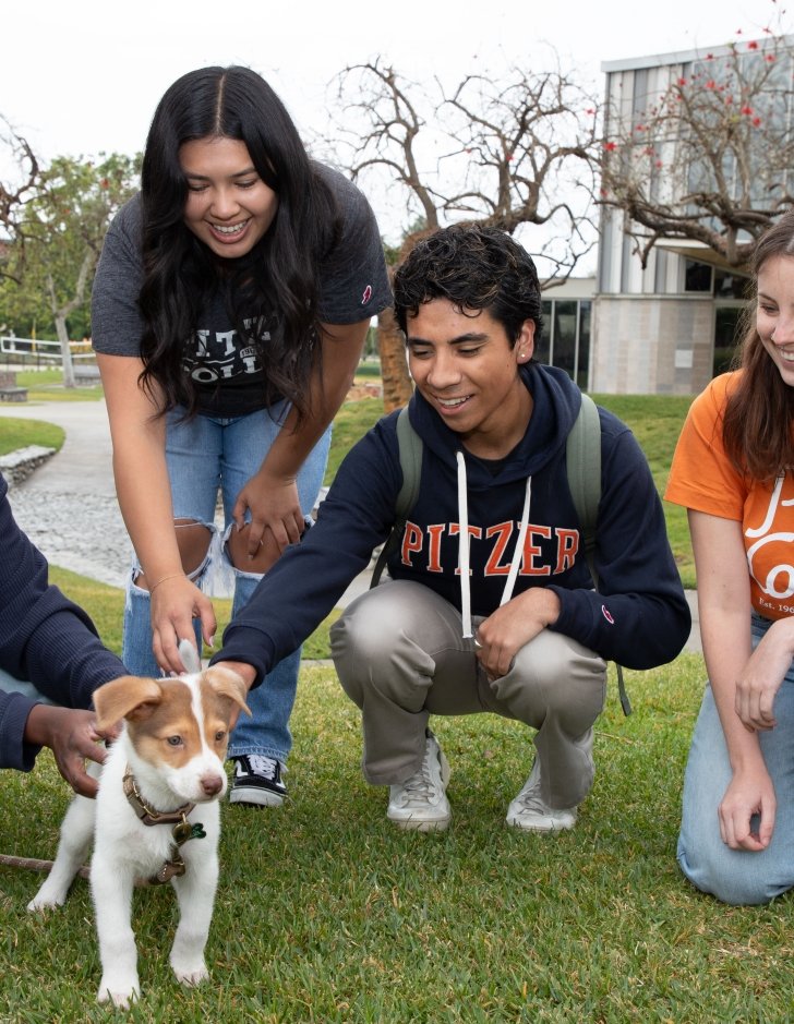 Pitzer service animal