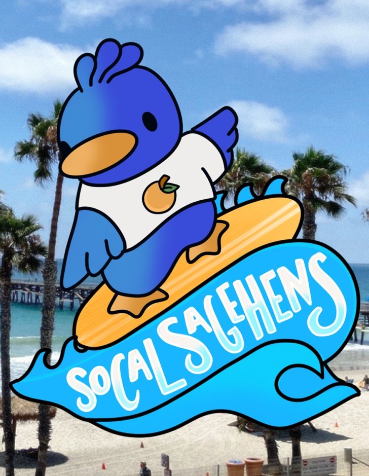 Cecil the Sagehen surfing at the beach