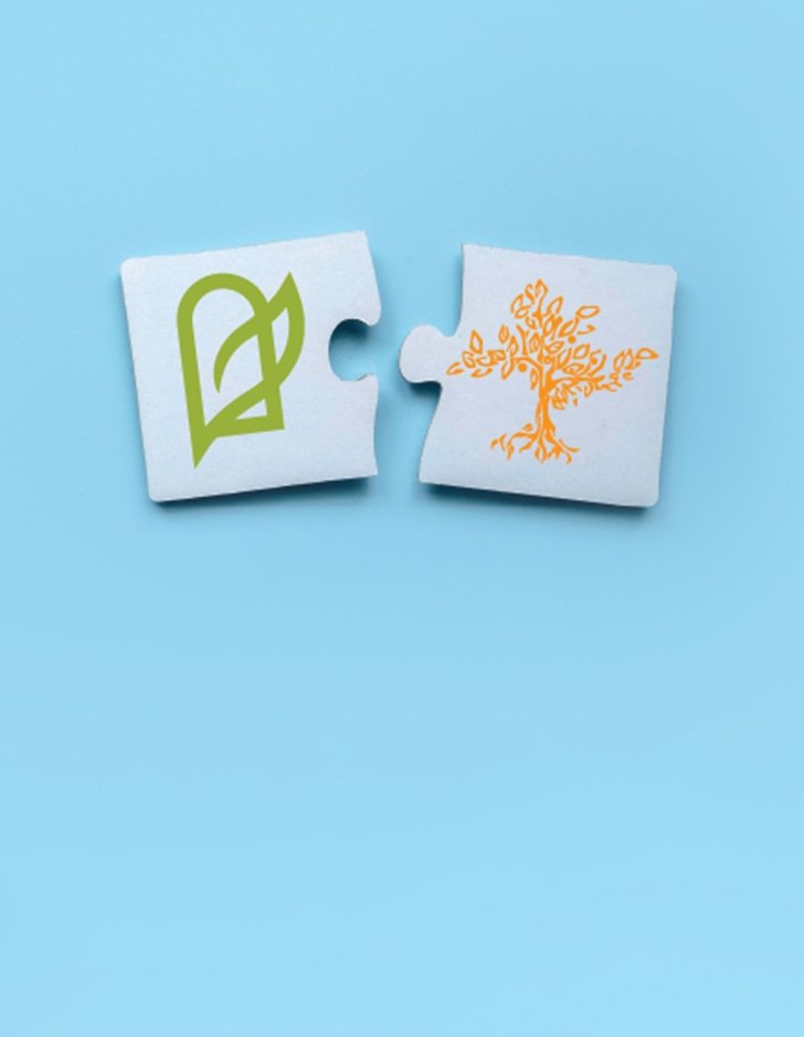 two puzzle pieces with the DNS logo and Pitzer logo sit on a blue background