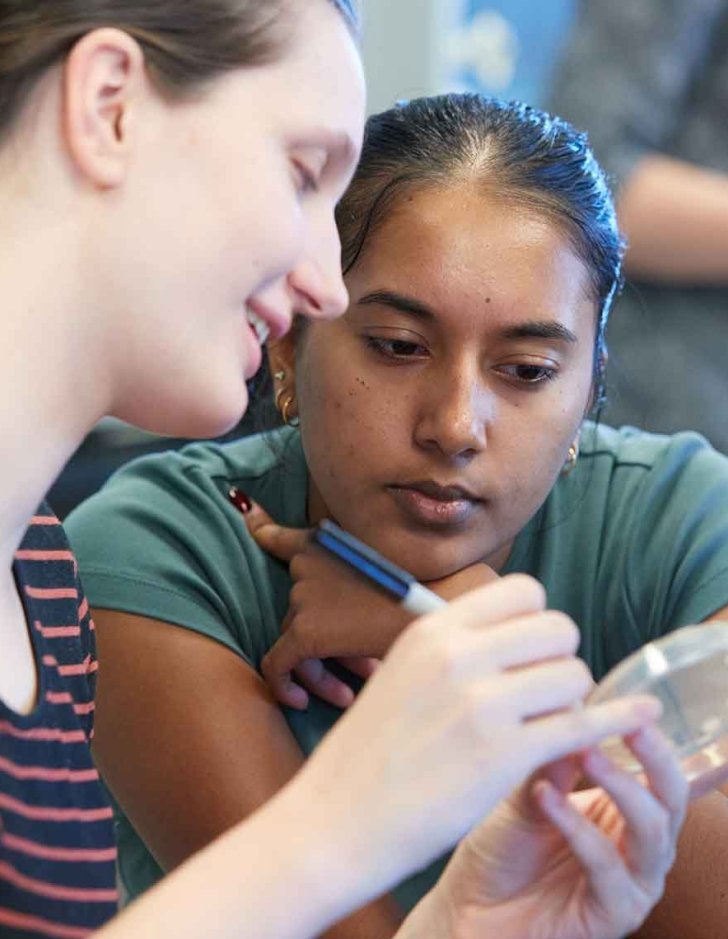 two students look closely at a petri dish in a cellular biology lab