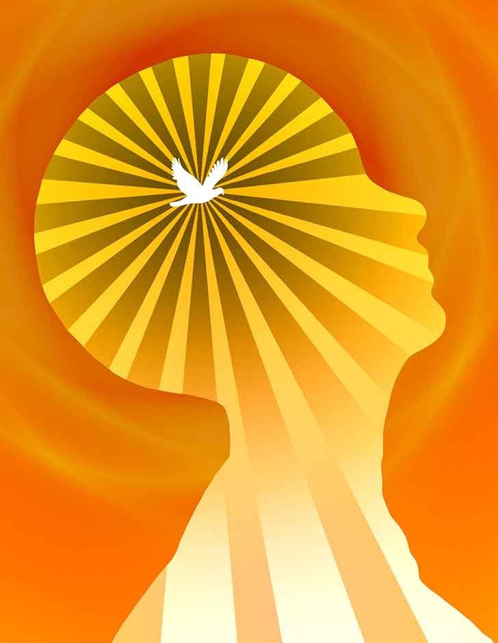 silhouette of a human with a white bird in the center with yellow rays emanating from it.