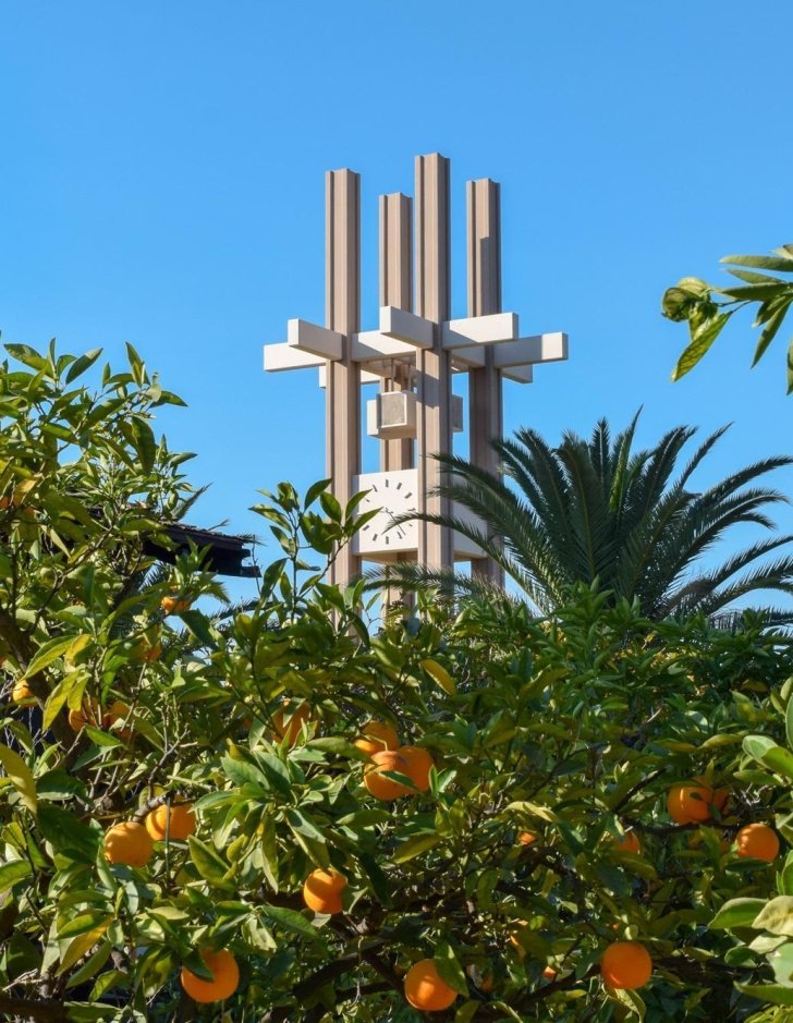 the pitzer clock tower peaks out above the orange trees at the grove house