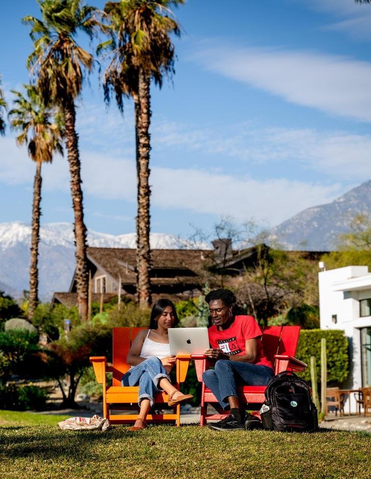 two students sit in chairs on the mounds while working on a laptop with grove house and palm trees in the background