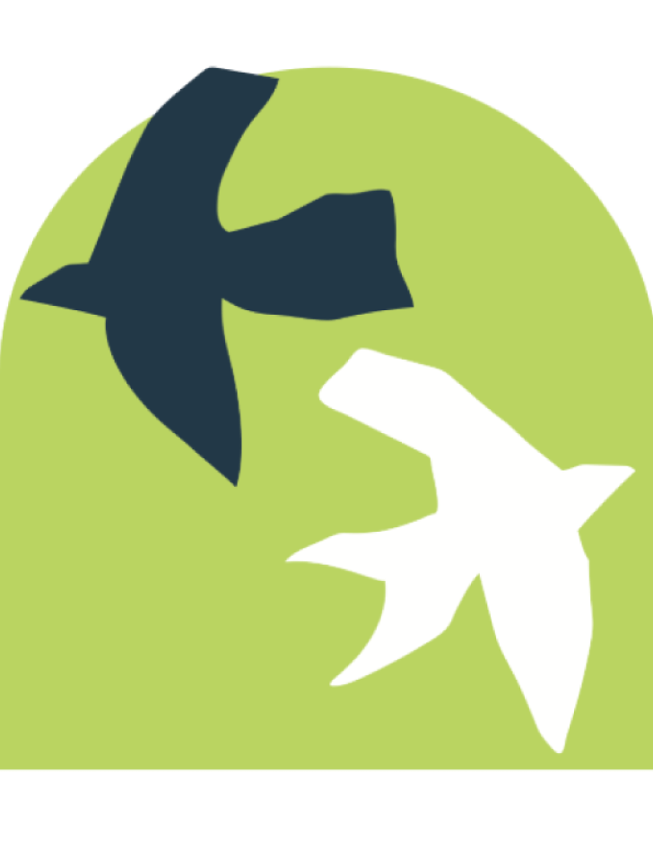 drawing of two birds flying in opposite directions