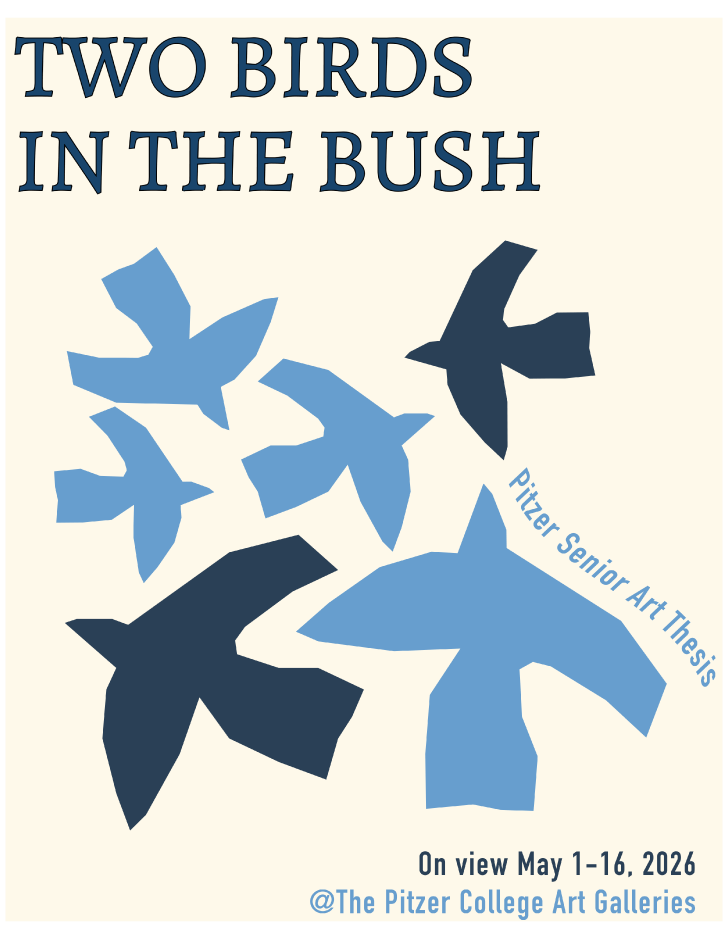 Graphic featuring drawn birds in light and dark blue